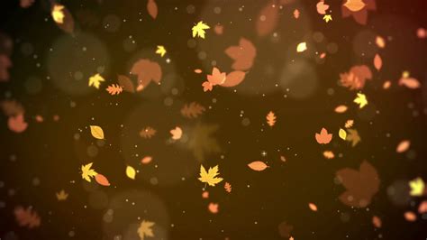 Autumn Leaf Background Autumn Leaf Stock Motion Graphics SBV-348714968 - Storyblocks