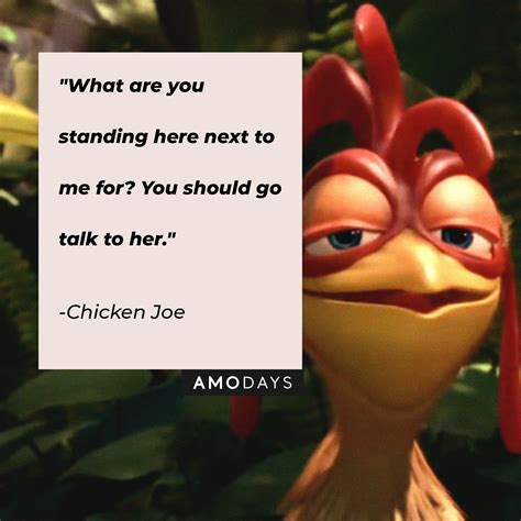 35 Chicken Joe Quotes that Embody His Radical Surfer Charm