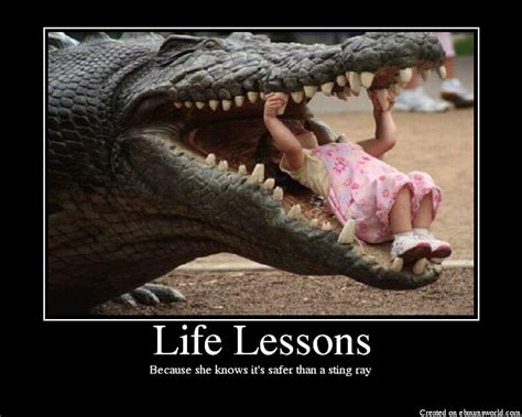 Life Lessons | Life lessons, Funny quotes and Funny things