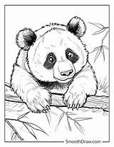 Top 25 Free Printable Cute Panda Bear Coloring Pages sketch template