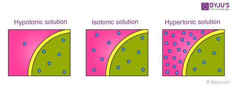 Colligative Properties - Definition, Types, Examples, Raoult's Law