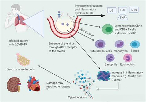 Cytokine storm in COVID-19 infection* * This Figure is designed by the... | Download Scientific ...