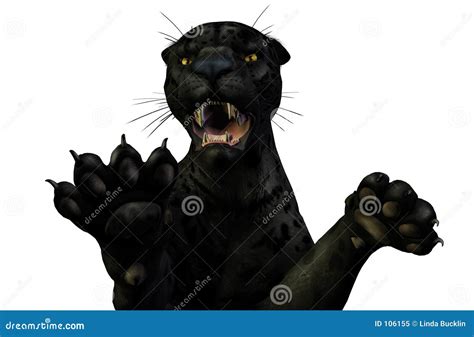 Panther Attacks - Clipping Path Included Royalty Free Stock Photo ...