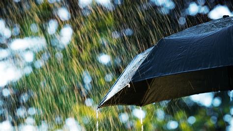 Fish rain down from sky in northern Mexico | Fox News