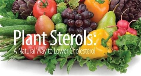 Lower Your Cholesterol with Plant Sterols