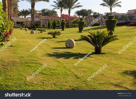 Garden Landscape Design Park Design Stock Photo 564124030 | Shutterstock