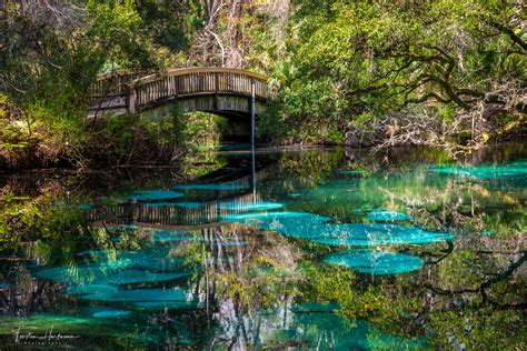 Juniper Springs (USA) Foto & Bild | nature, nikon, usa Bilder auf fotocommunity