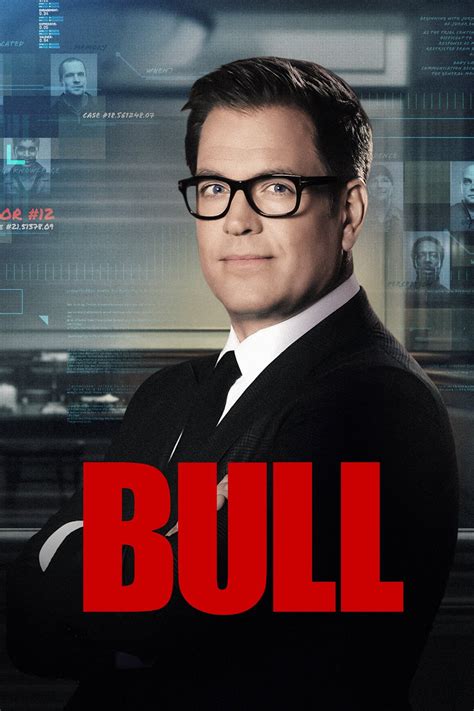 Bull (2016) | The Poster Database (TPDb)