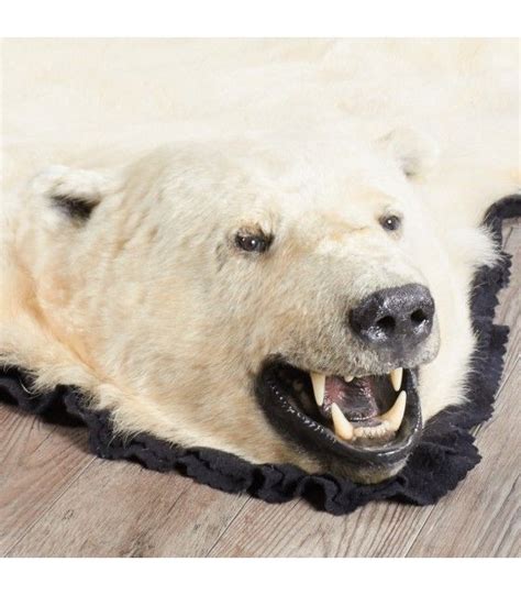 Polar Bear Rugs - Polar Bear Rug for sale | Polar bear, Bear skin rug, Bear rug