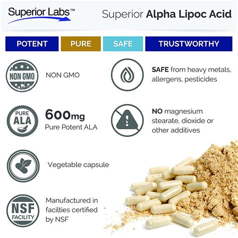 Alpha Lipoic Acid Supplement | 600 mg | Superior Labs