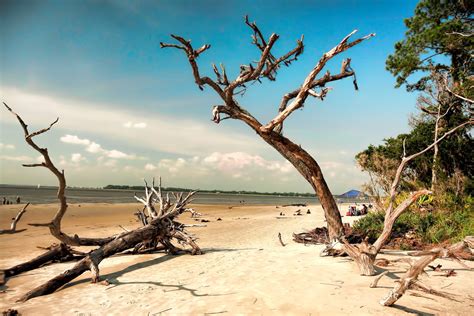 Jekyll Island State Park Visitor's Guide - Lighthouse Vacations