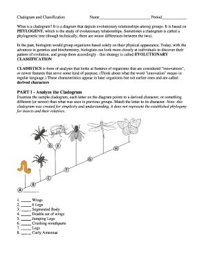 Solved Phylogeny and Cladistics Worksheet (These are the | Chegg.com - Worksheets Library