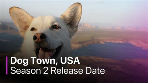 Dog Town, USA Season 2 Guide to Release Date, Cast News and Spoilers