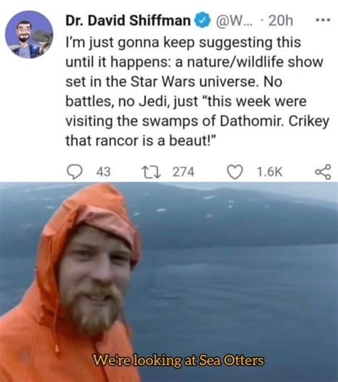 27 Obi-Wan Kenobi Memes To Celebrate The New Series | Star wars fandom ...