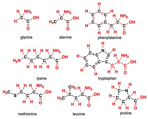 Introductory Structures Selected Amino Acids