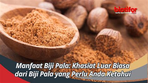 Manfaat Biji Pala: Khasiat Luar Biasa dari Biji Pala yang Perlu Anda Ketahui