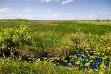 Everglades National Park hiking trails - Right Kind Of Lost