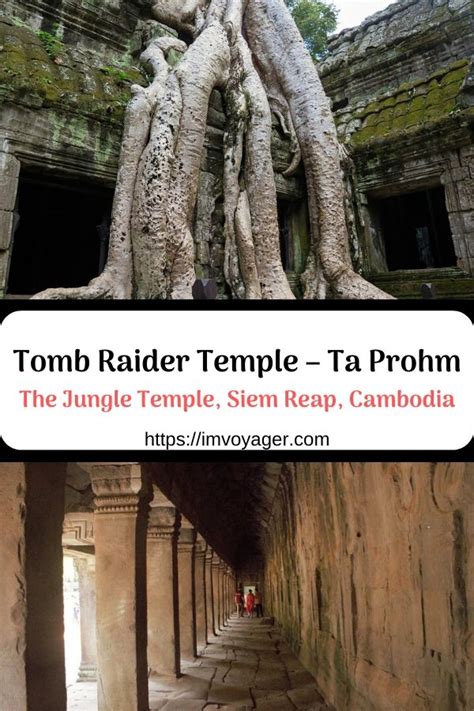 Amazing Tomb Raider Temple - Ta Prohm, Siem Reap, Cambodia