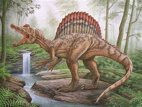 "Spinosaurus" © Phil WIlson- acrylic | Prehistoric animals, Spinosaurus ...