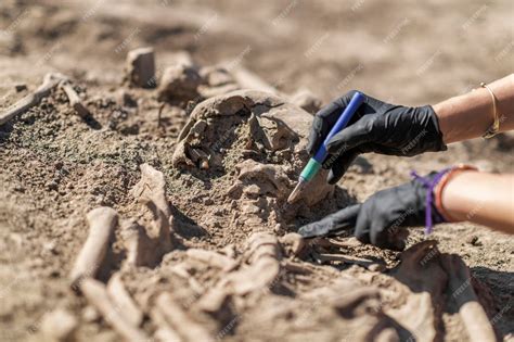 Premium Photo | Archaeology Exhumation of an Ancient Human Skeleton ...