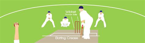 Learn to Play Cricket [Infographic]