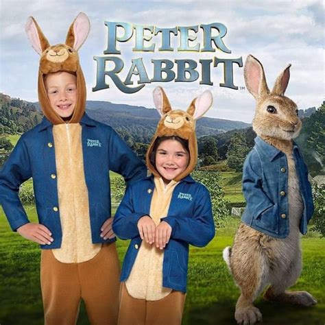 Peter Rabbit Movie Deluxe Costume | ubicaciondepersonas.cdmx.gob.mx