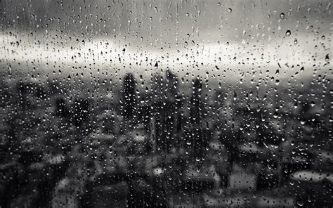 73 Raindrops HD Wallpapers | Background Images - Wallpaper Abyss