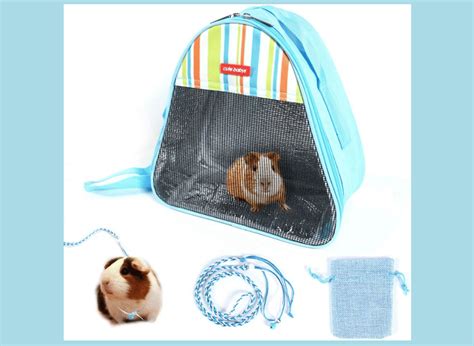 Hamster Road Trip: Packing With the Perfect Hamster Travel Cage