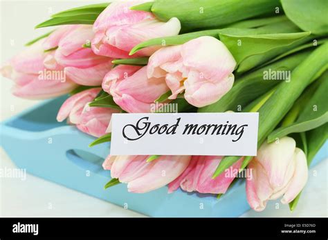 Good morning card with pink tulips Stock Photo - Alamy