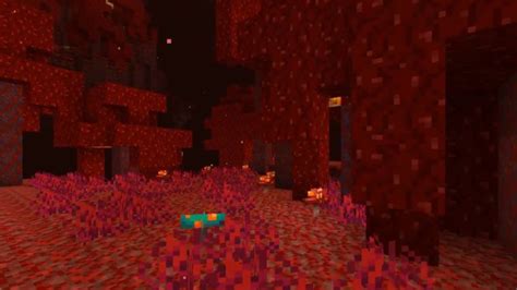 Minecraft Nether Update 1.16: the latest Minecraft update brings new biomes and mobs | BoxMash