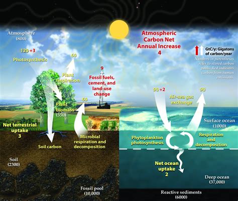 Difference Between Anthropogenic and Natural Climate Change | Anthropogenic vs Natural Climate ...