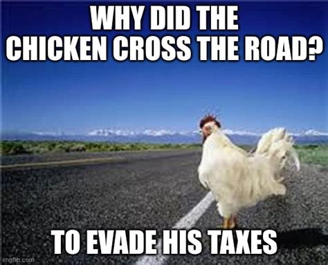 why did the chicken cross the road? - Imgflip