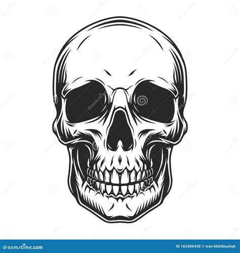 Vintage Human Skull Concept Stock Vector - Illustration of death ...