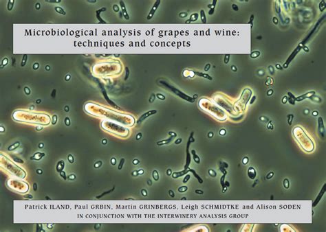 Microbiological Analysis of Grapes and Wine: Techniques and Concepts ...