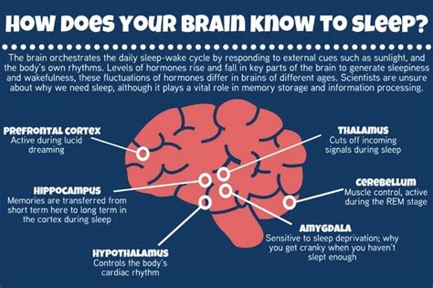 INSOMNIA – Symptoms, side effects and causes. | The Bribie Islander