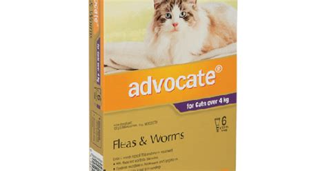 Advocate Flea and Worm Treatment for Cat over 4KG-6 pack