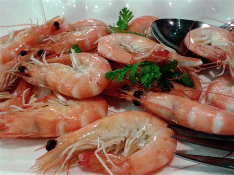 Cooked Shrimp Free Stock Photo - Public Domain Pictures