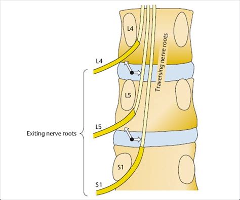 Queston #6529Note | NowYouKnow Neuro