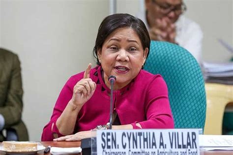 Cynthia Villar bio: age, net worth, son, achievements, education - KAMI.COM.PH