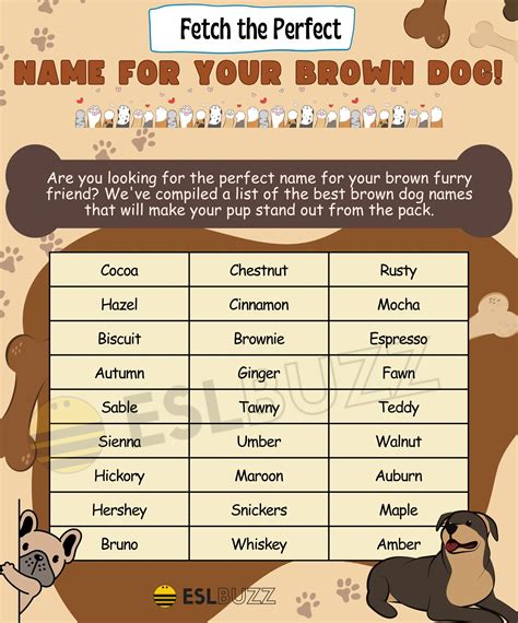 Brown Dog Names: The Ultimate List for Your Furry Friend's Moniker - ESLBUZZ