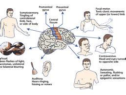 Health And Beauty Tips: symptoms of Absence seizure