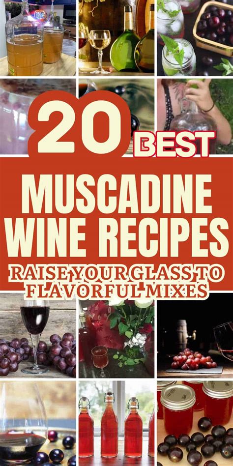 20 Fun and Easy Muscadine Wine Recipes