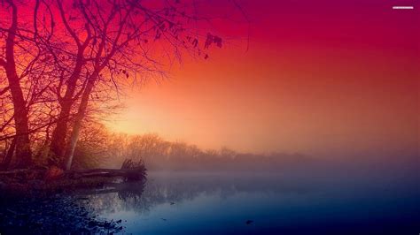Free download Beautiful Fog wallpaper 2560x1440 29325 [2560x1440] for your Desktop, Mobile ...