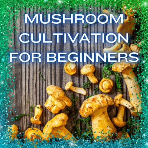 Mushroom Cultivation for Beginners - 🍄 Mushroom Academy