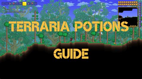 Terraria Potions: Definitive Healing & Buffs [Our Tips] - eXputer.com