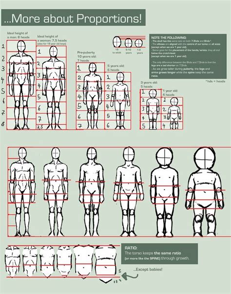 This is from Deviantart.com it great for aging your character | Figure drawing, Drawings ...