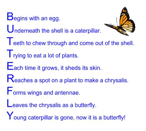 The First Grade Frog: Butterfly Life Cycle Acrostic Poem