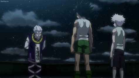 Gon and Killua face Pitou, Knuckle fights Youpi, Flutter escapes Welfin ...