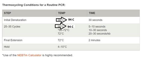 Figure From Multiplex PCR Using Q5® High-Fidelity DNA, 57% OFF