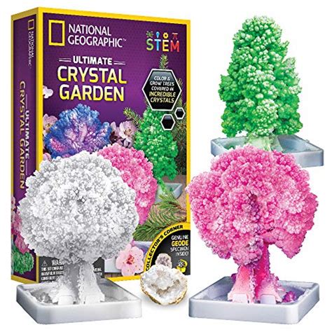 Best Crystal Growing Kits - Explore Chemistry and Physics in 2023